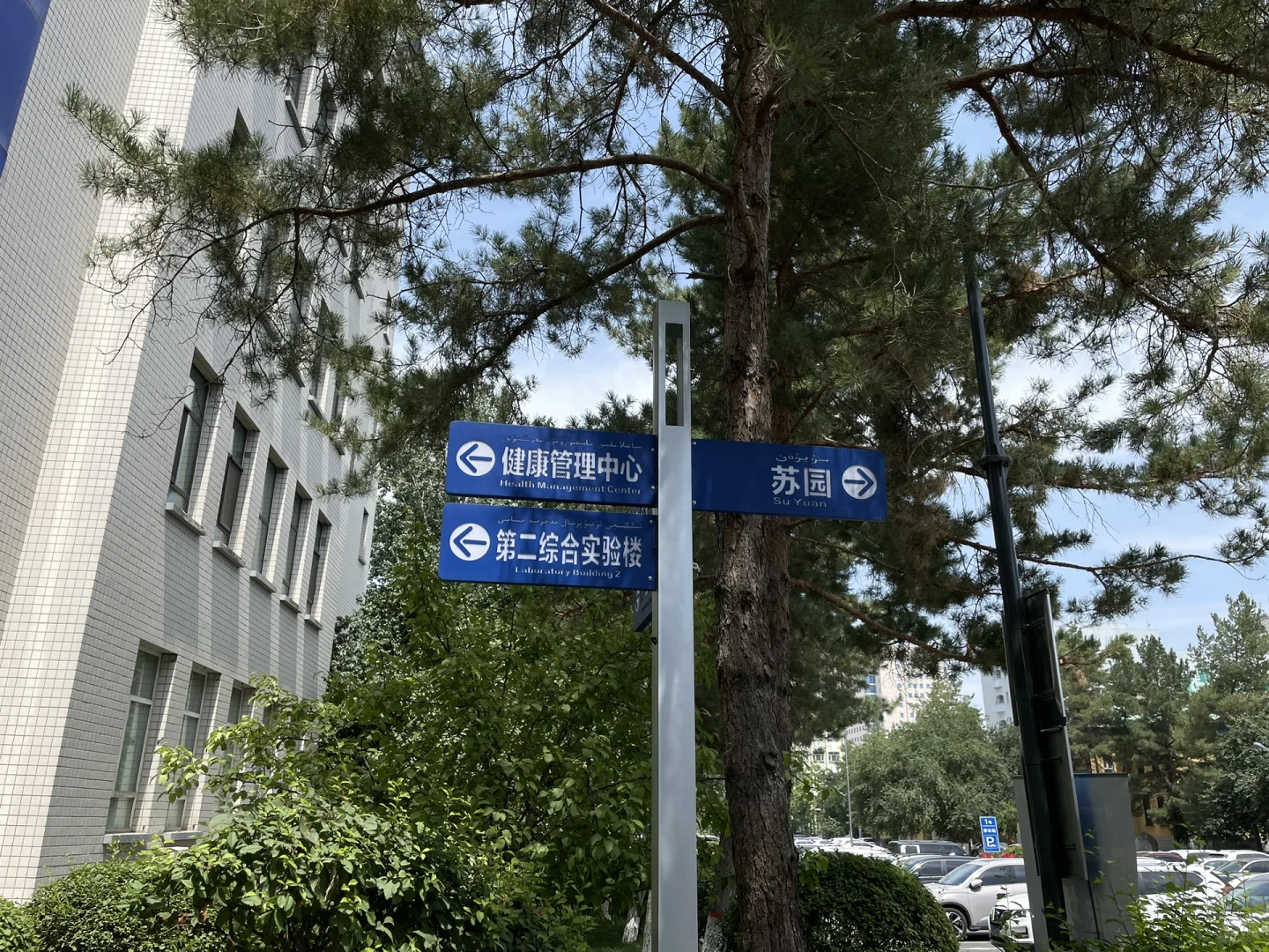 人怎么这么多多多多多！