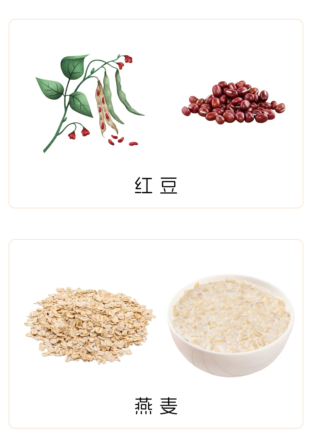 ?宝宝谷物认知卡片｜0-3岁食育启蒙✨