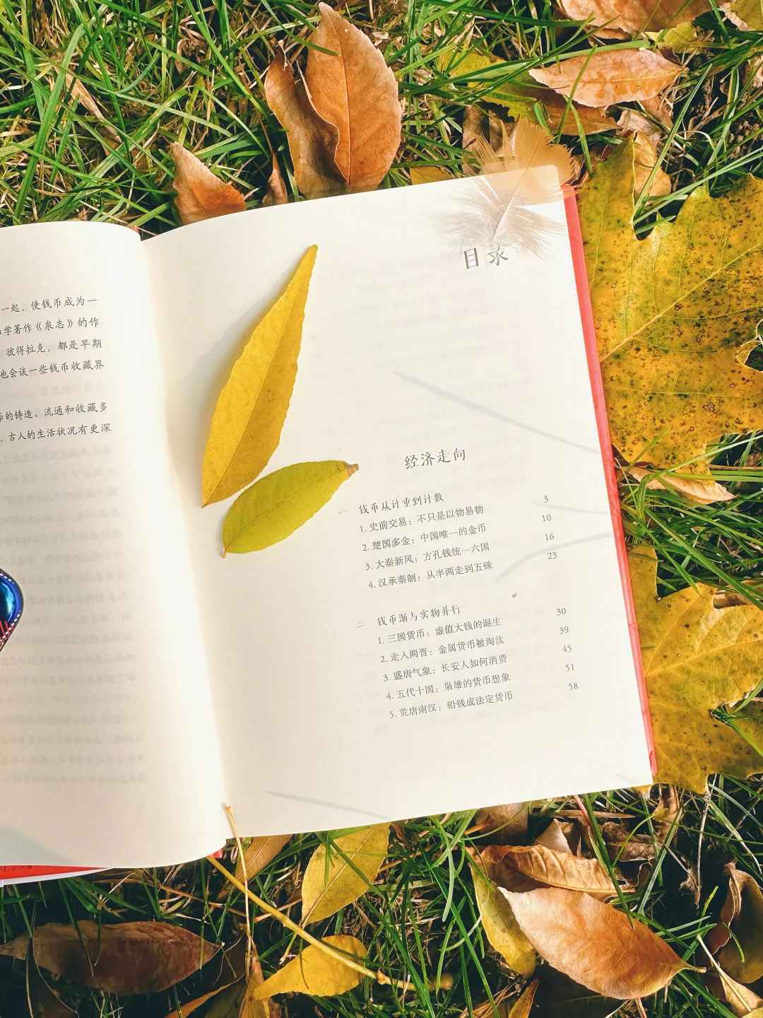 ?三千年货币史,读这本就够了❗️