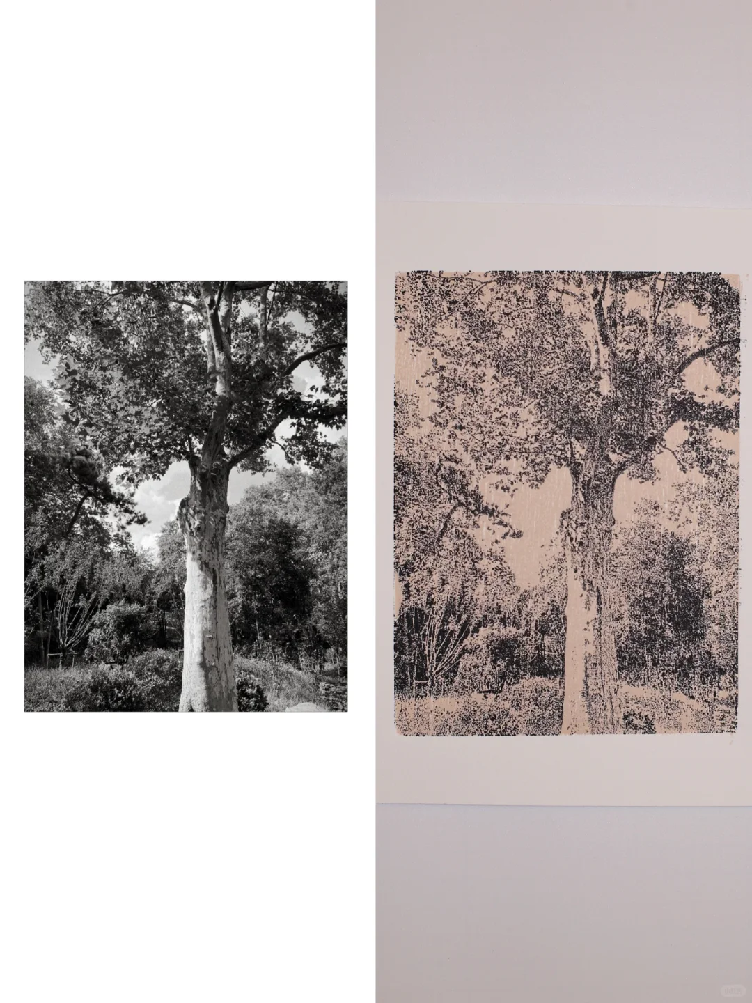 手机照片也可以做木版画印刷？！