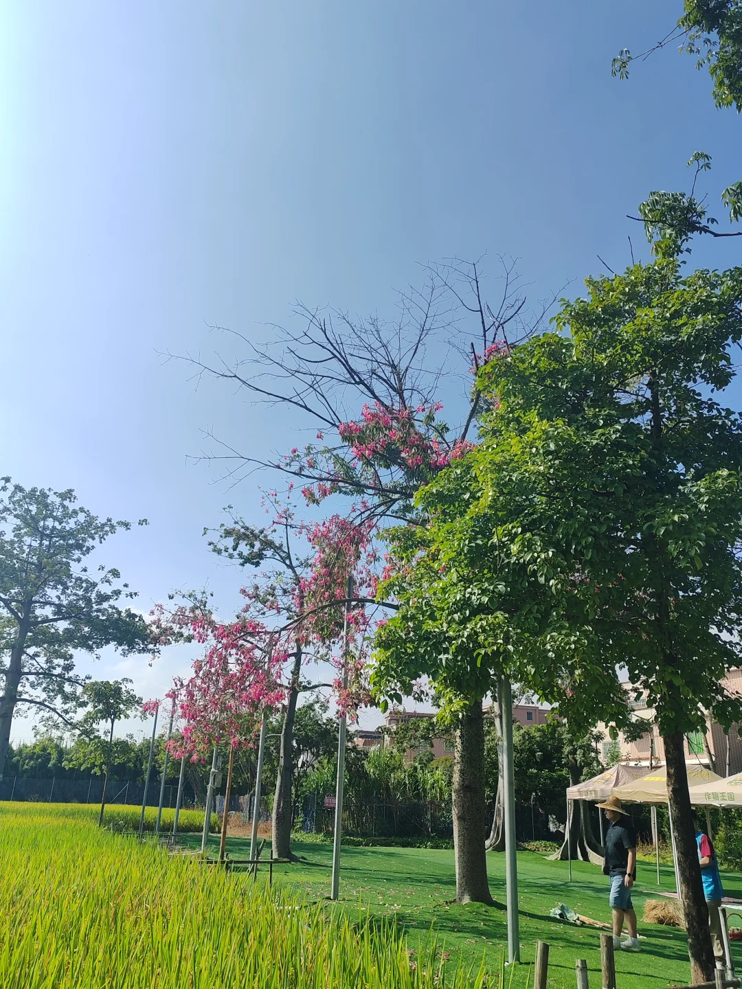 “听袁爷爷的话，好好吃饭，好好长大”