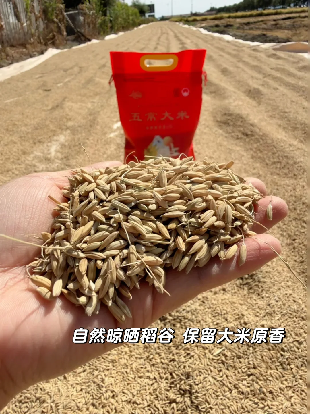 25年新米上市?5斤试吃装，原产地发货！