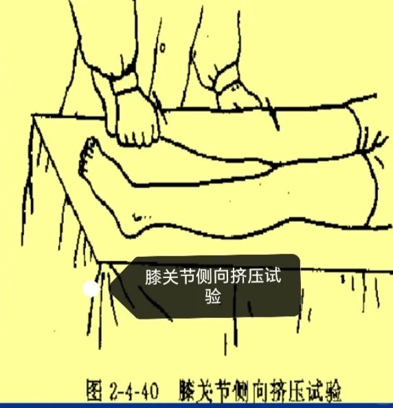 特殊检查相关试验