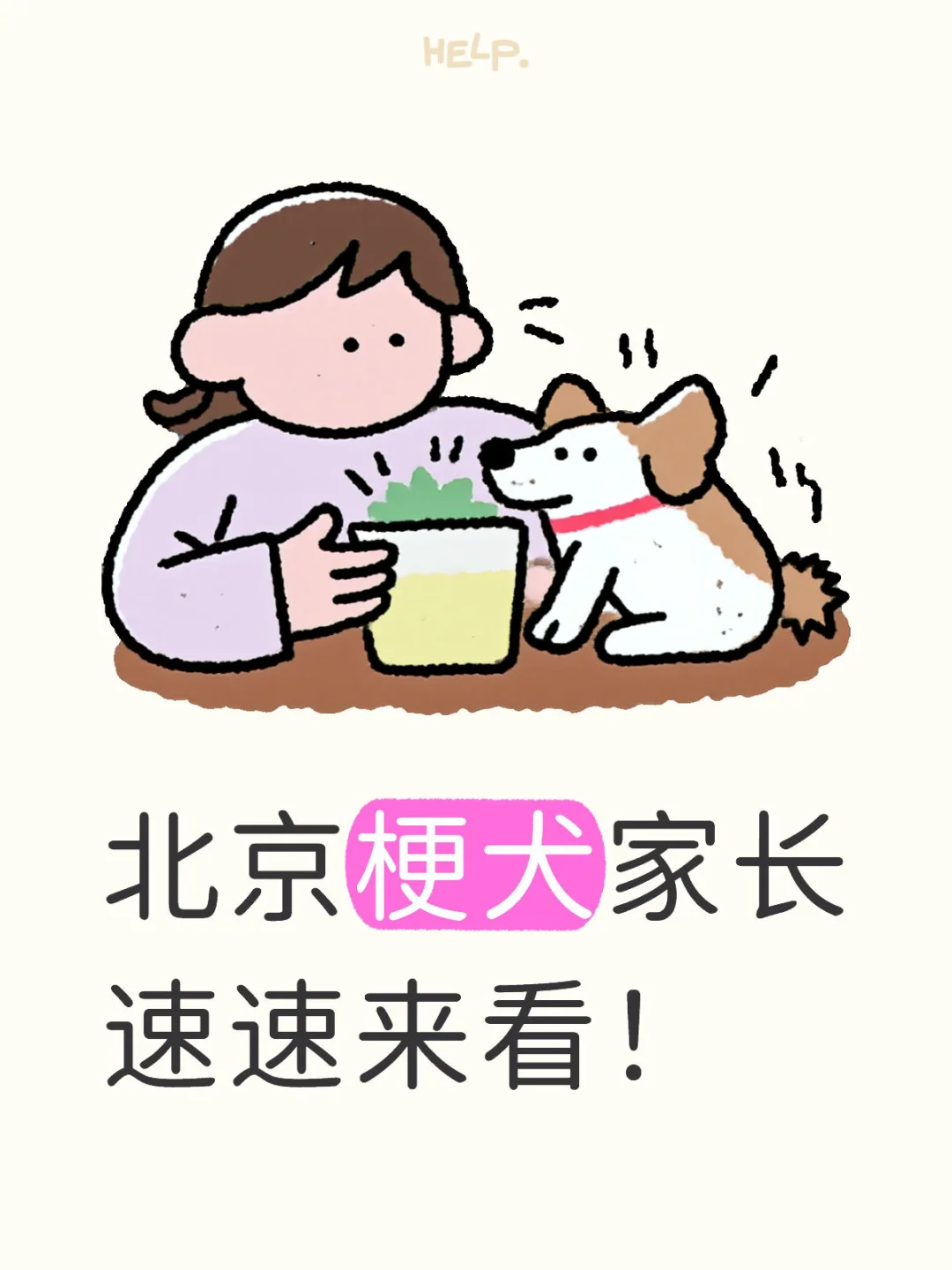 毛孩子年度体检福利+遛弯搭子群?