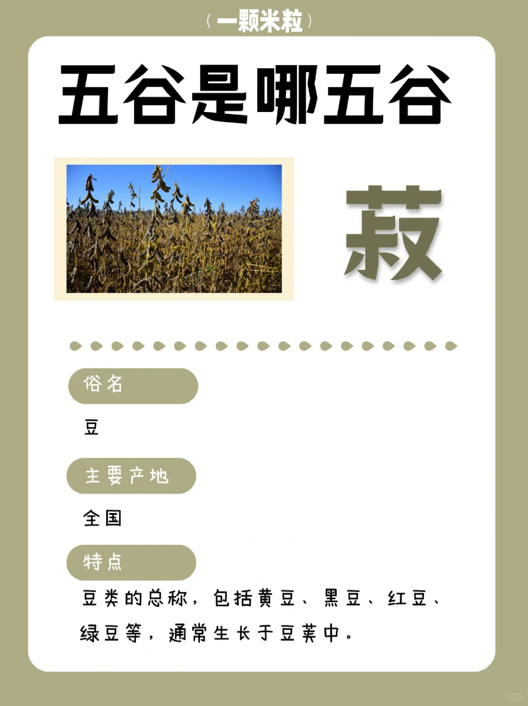 养人的五谷是哪五谷？