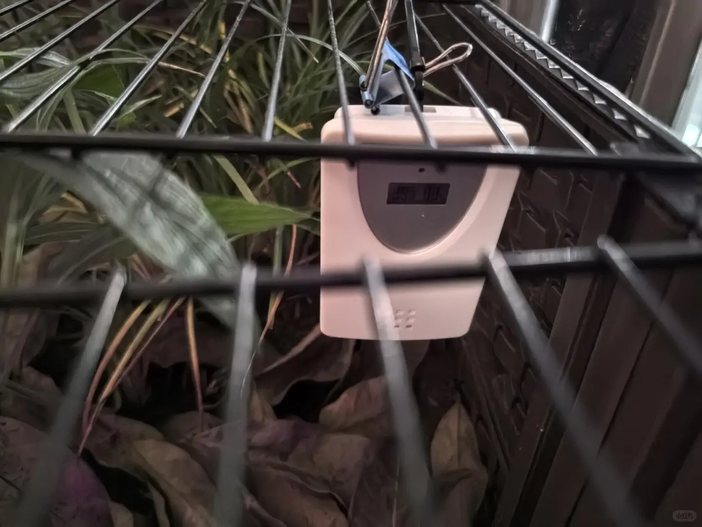 TFA dostmann无线气象站