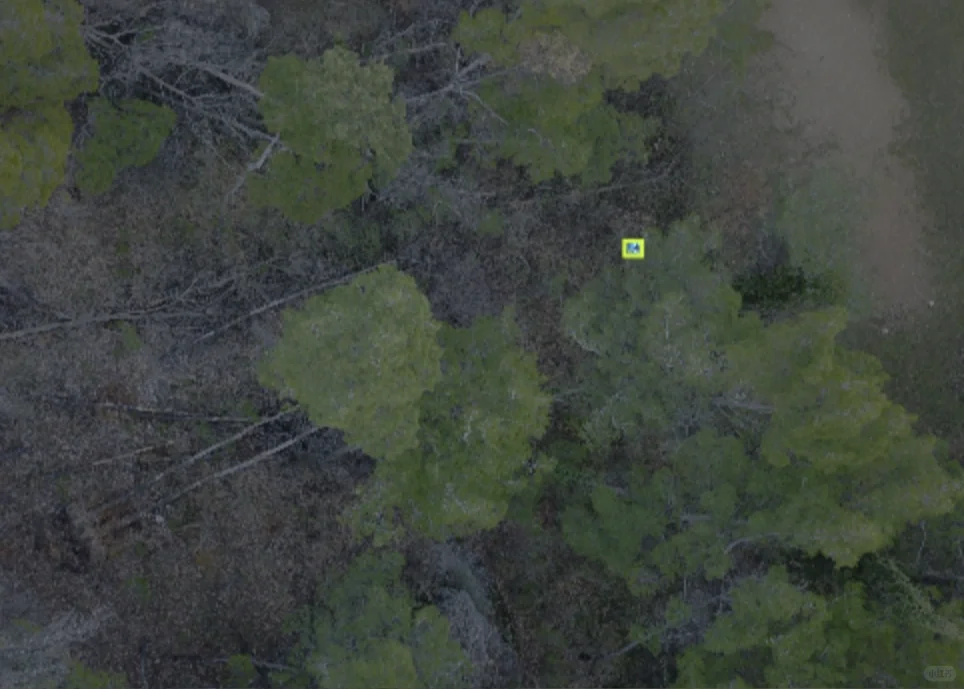 无人机巡检航拍搜救数据集 无人机人体检测