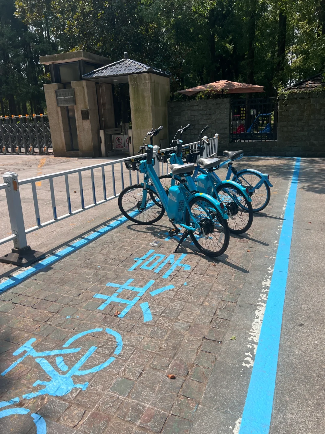 10公里亲测!中山陵的氢能自行车太方便了