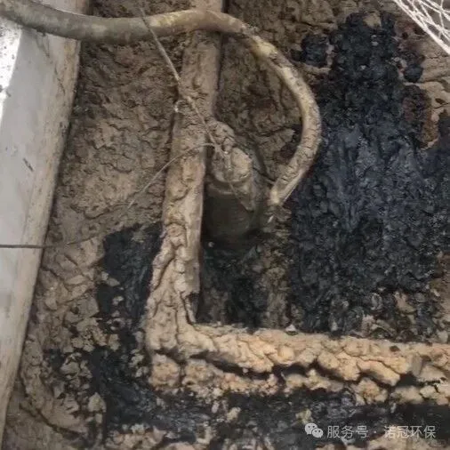 污泥絮团大、滤布堵、压不干的终极解决方案