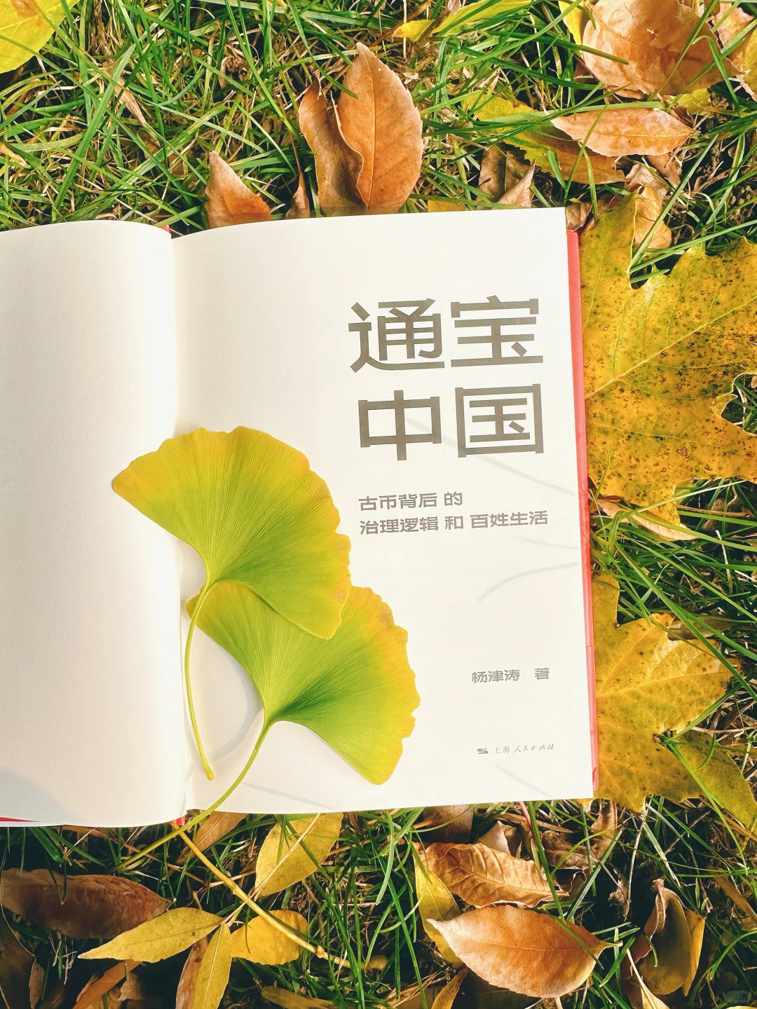 ?三千年货币史,读这本就够了❗️