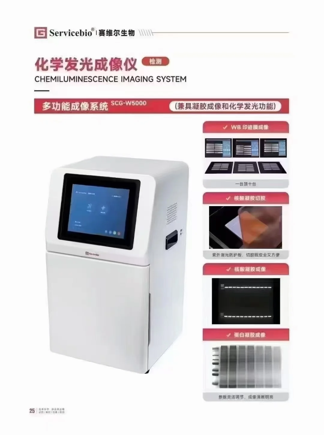 WB实验全套仪器