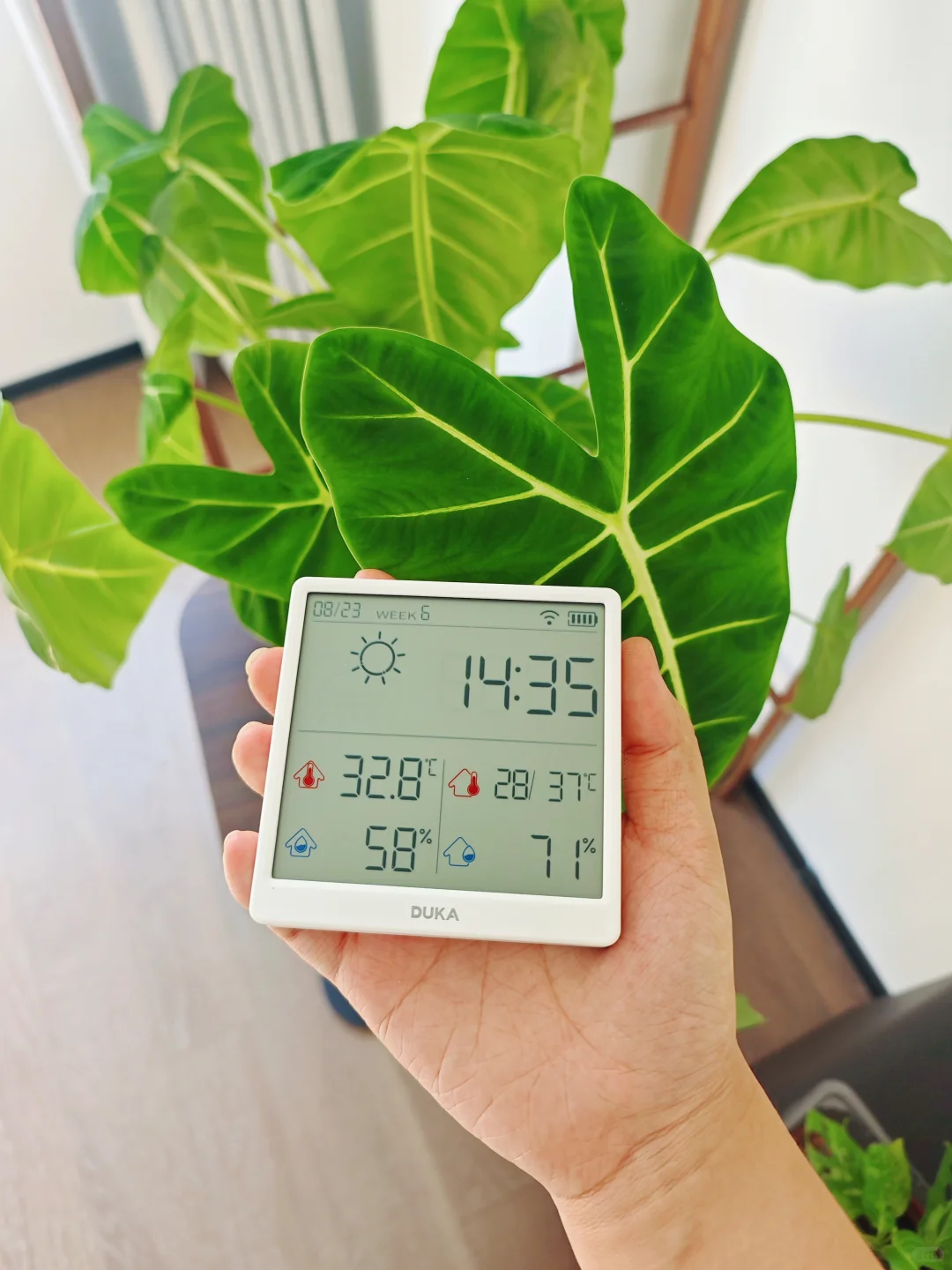 新家的100件快递（1/100）