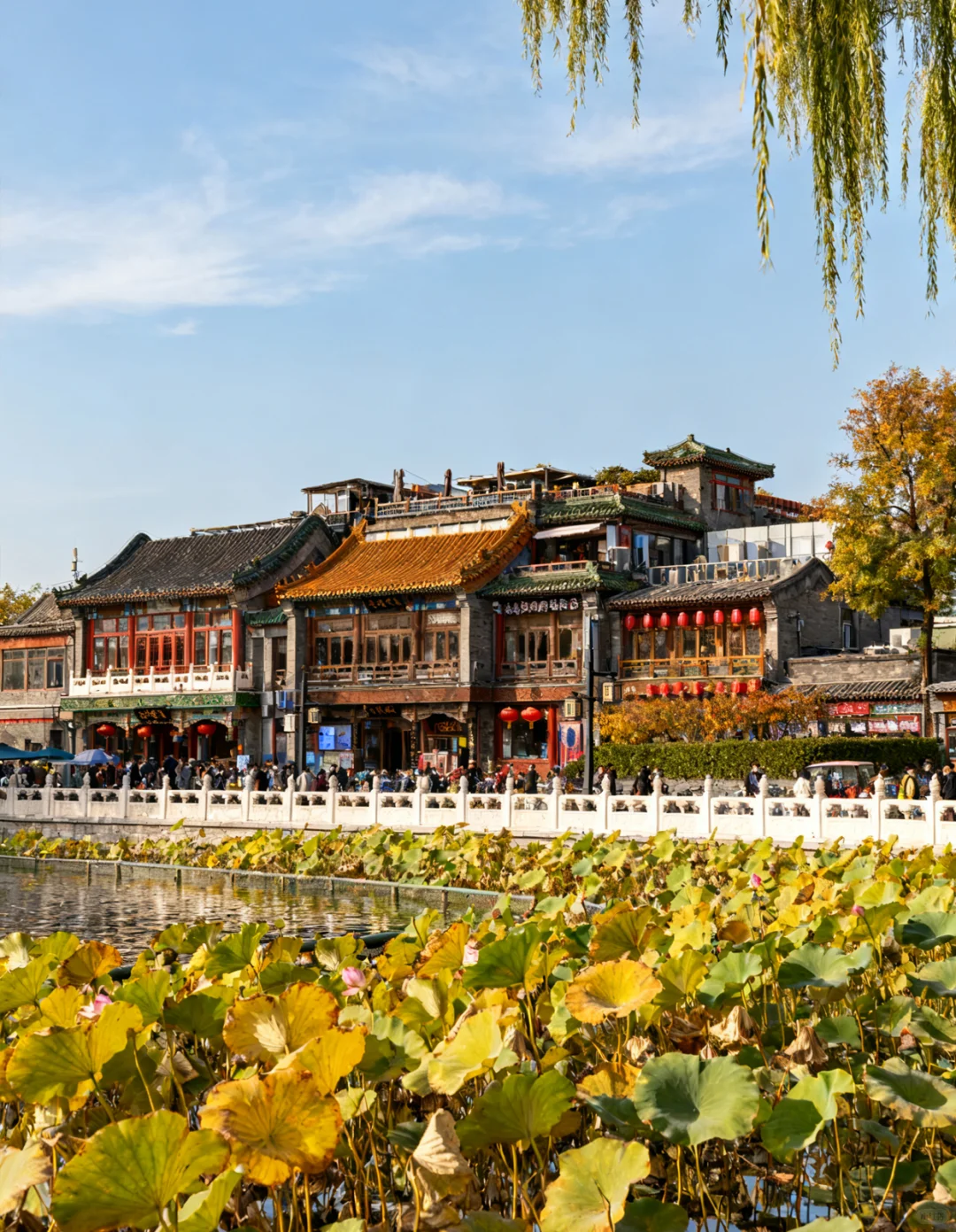 ? 北京带爸妈这么玩！颠覆认知的攻略