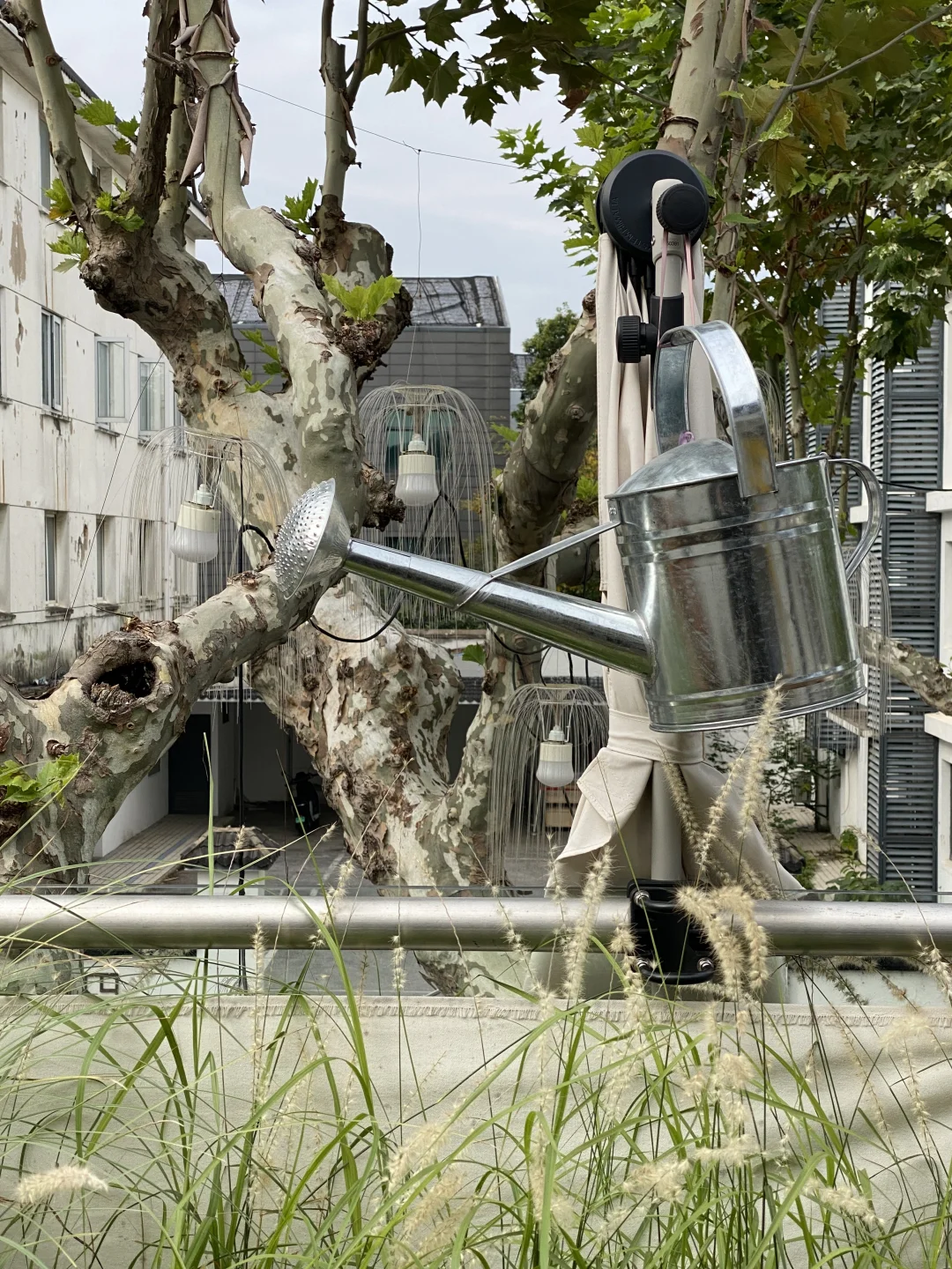 我会在早晨九点去咖啡馆读书。