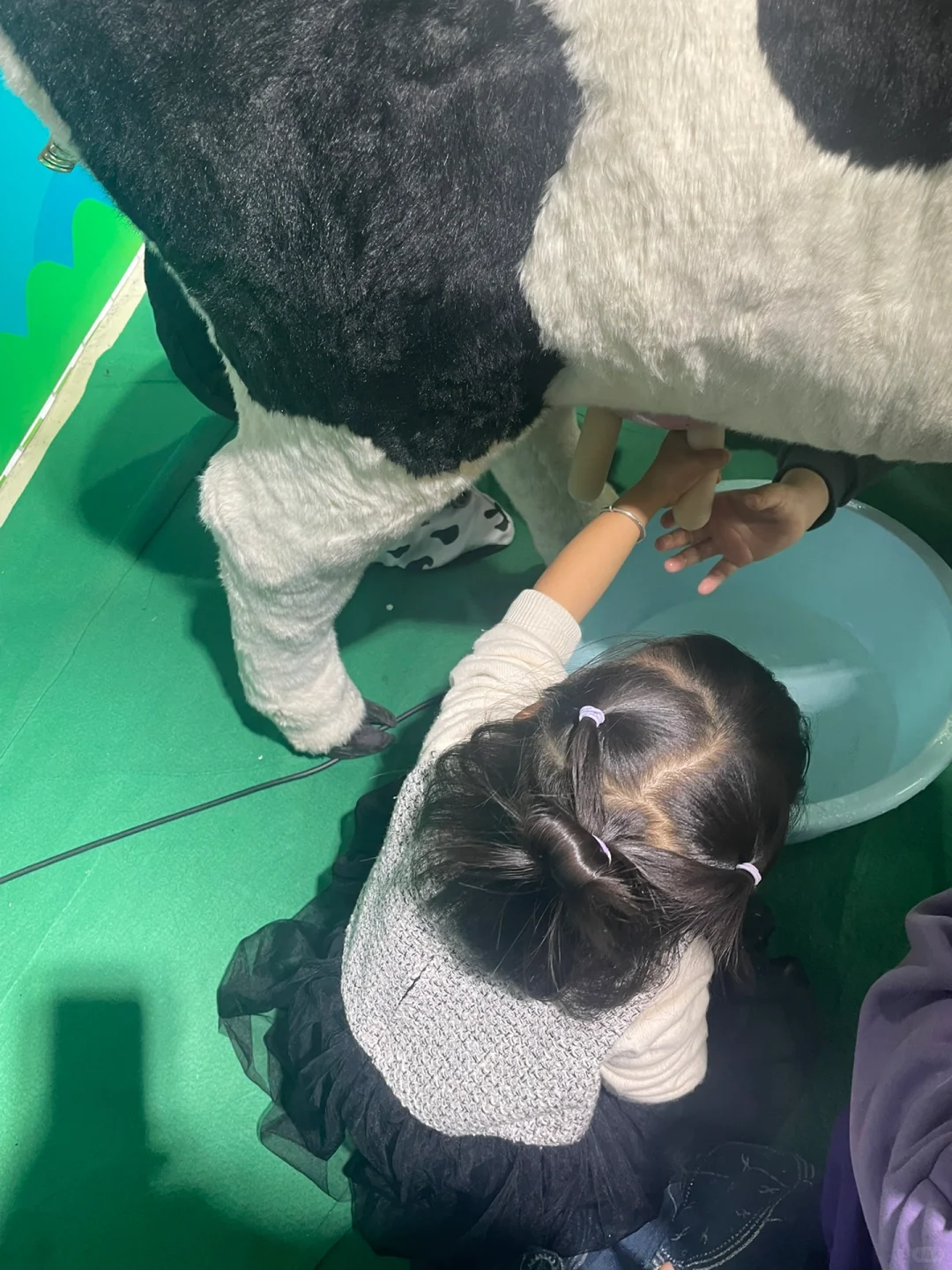 参观新希望牛奶厂