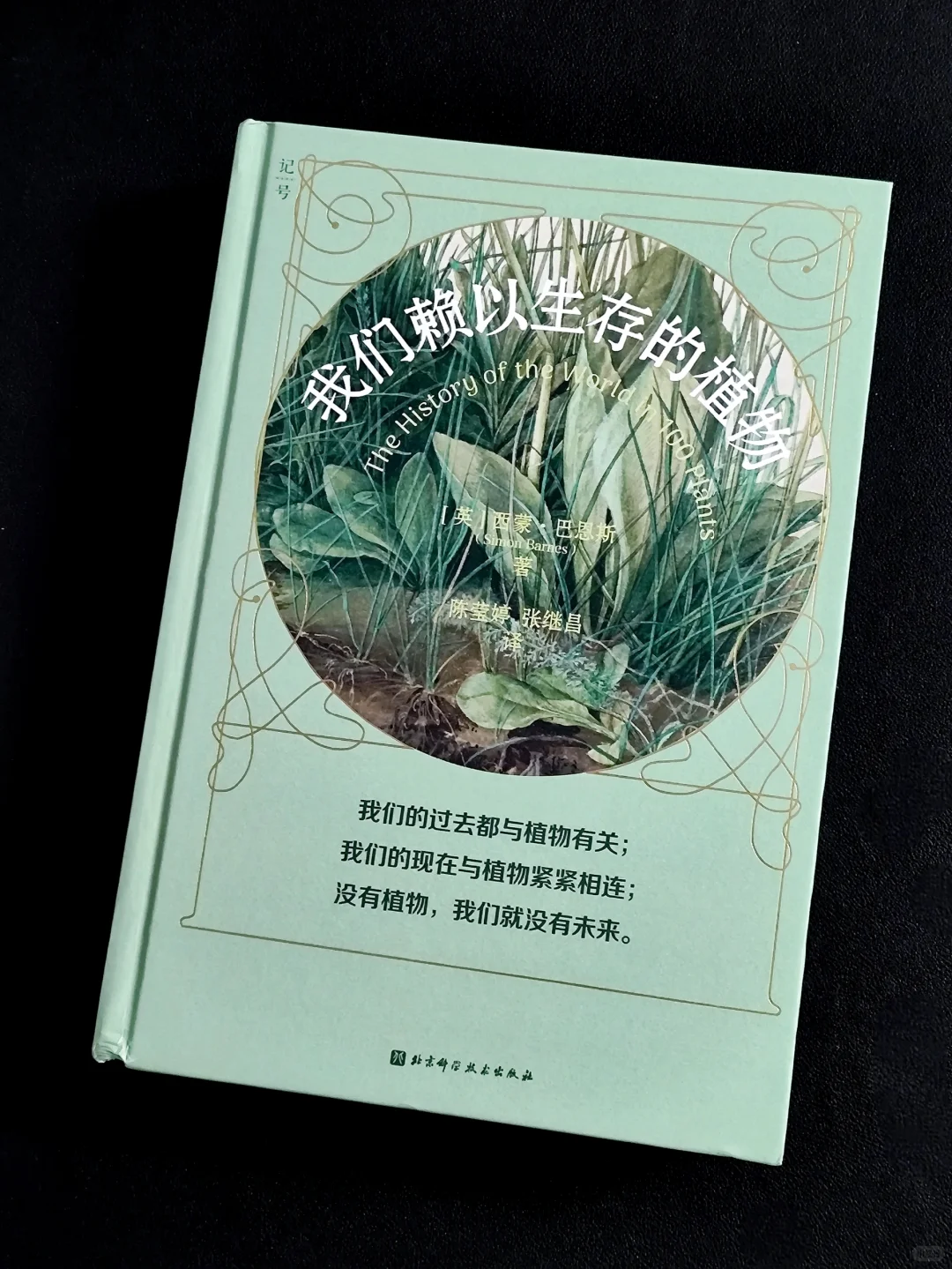 无言的陪伴:植物如何塑造人类文明❓