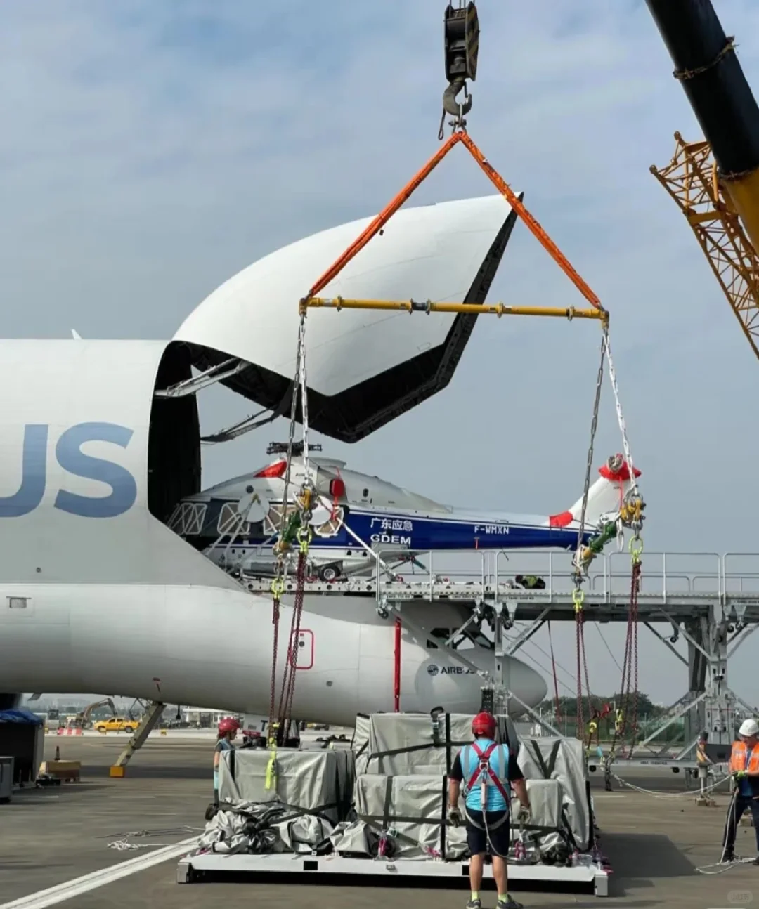 直升飞机成功进口回国