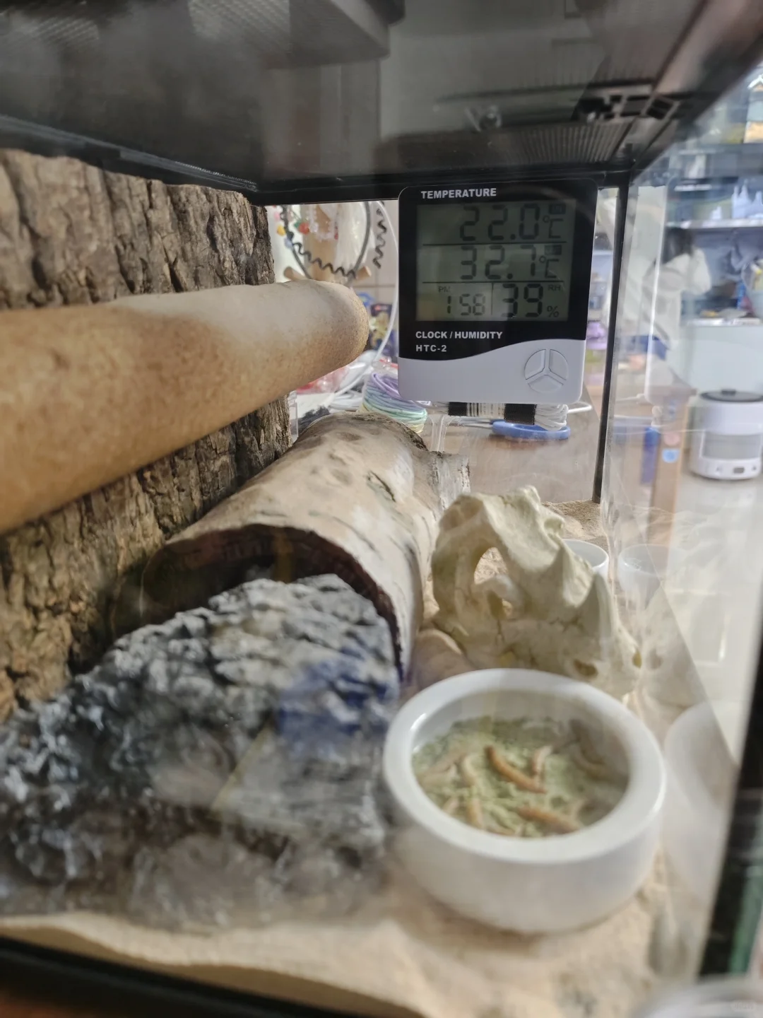 守宫饲养缸温度计选择