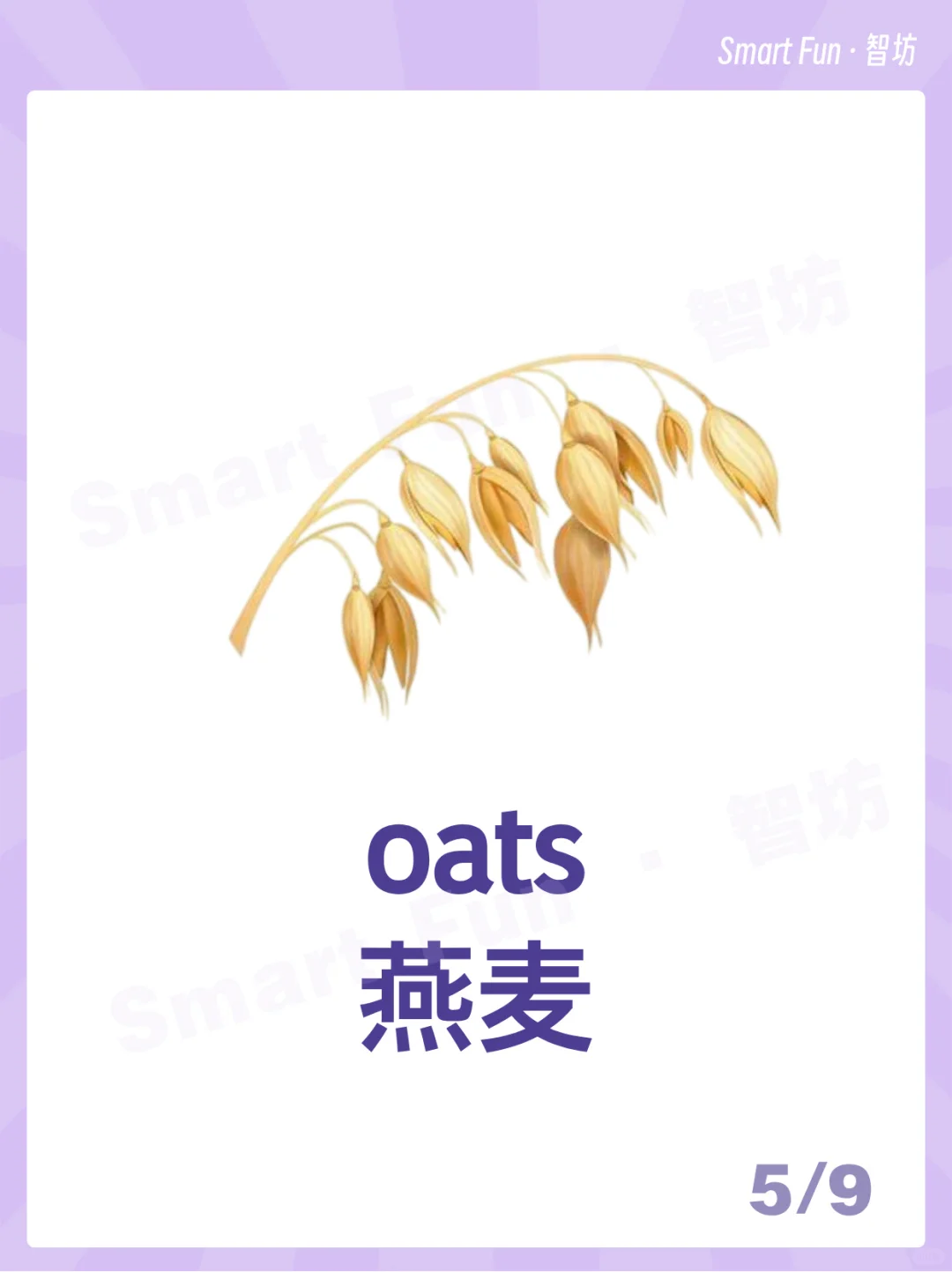 英语词卡｜常见的农作物用英语怎么说