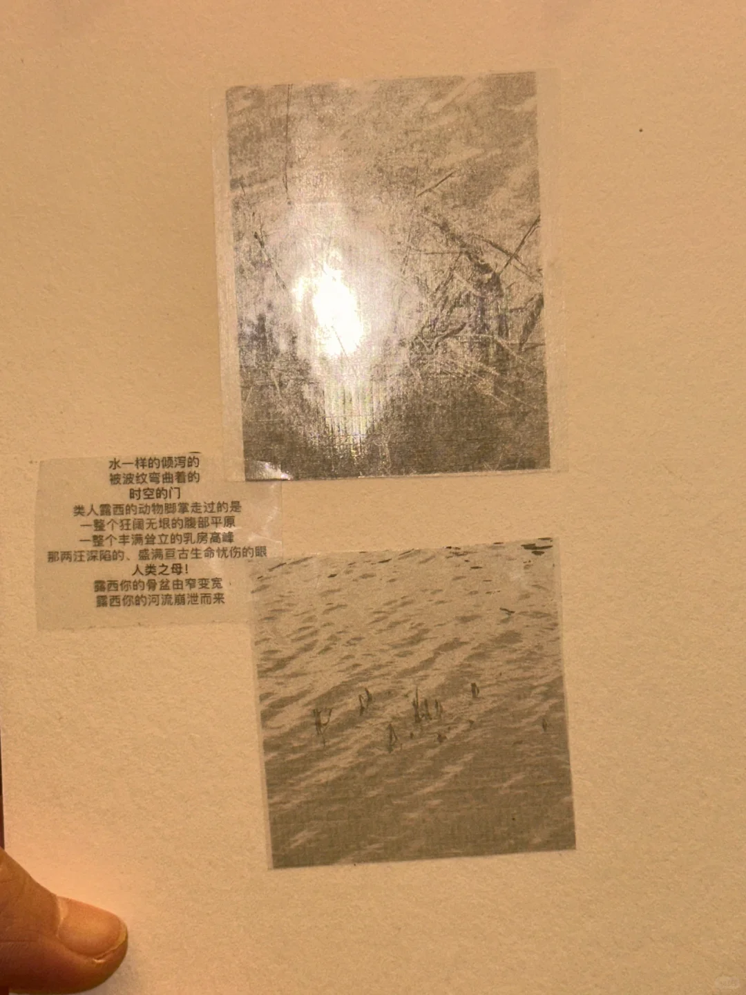 这个世界是一个巨大的咕咕机