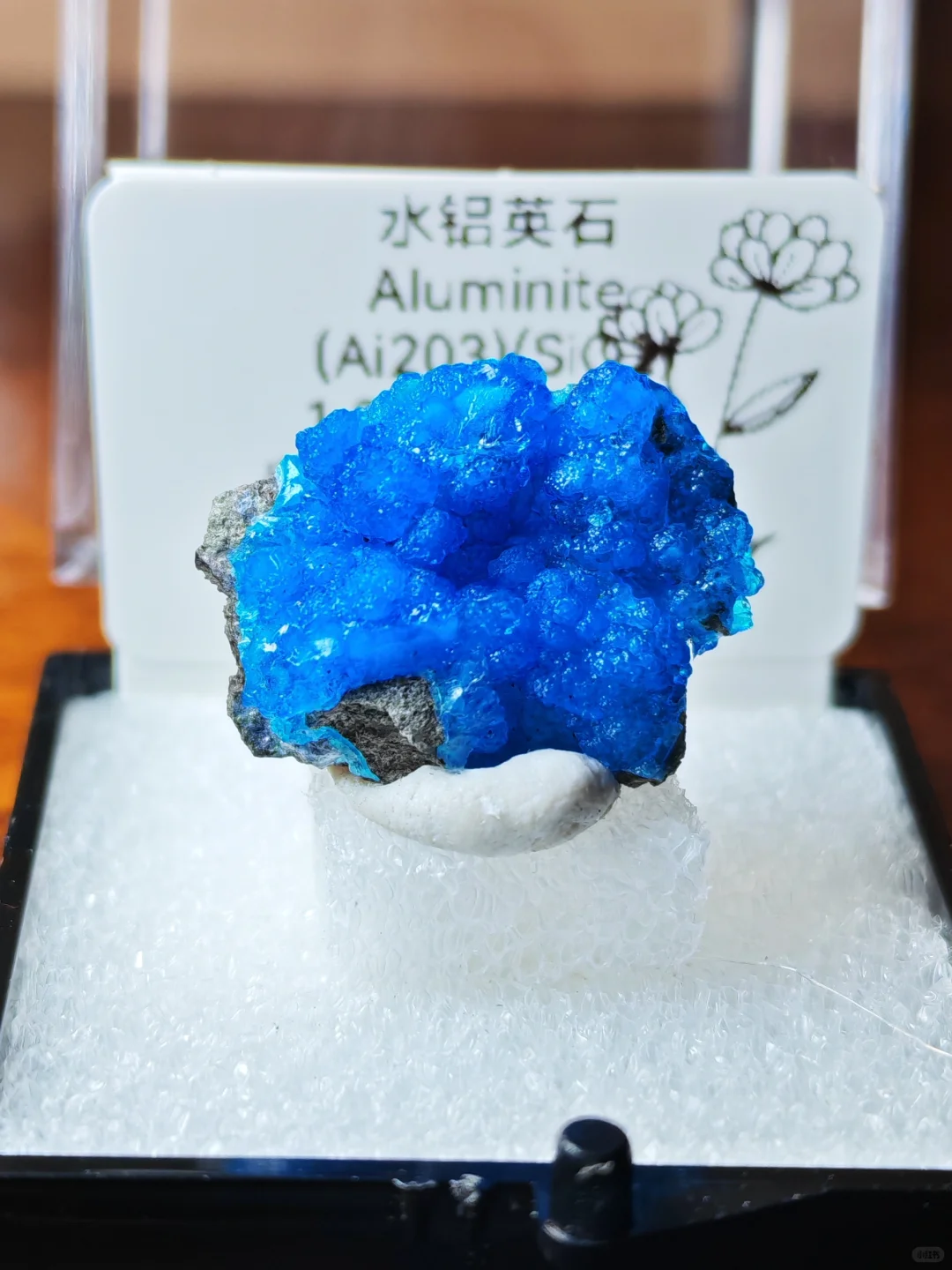 2025年矿标收藏分享⑥