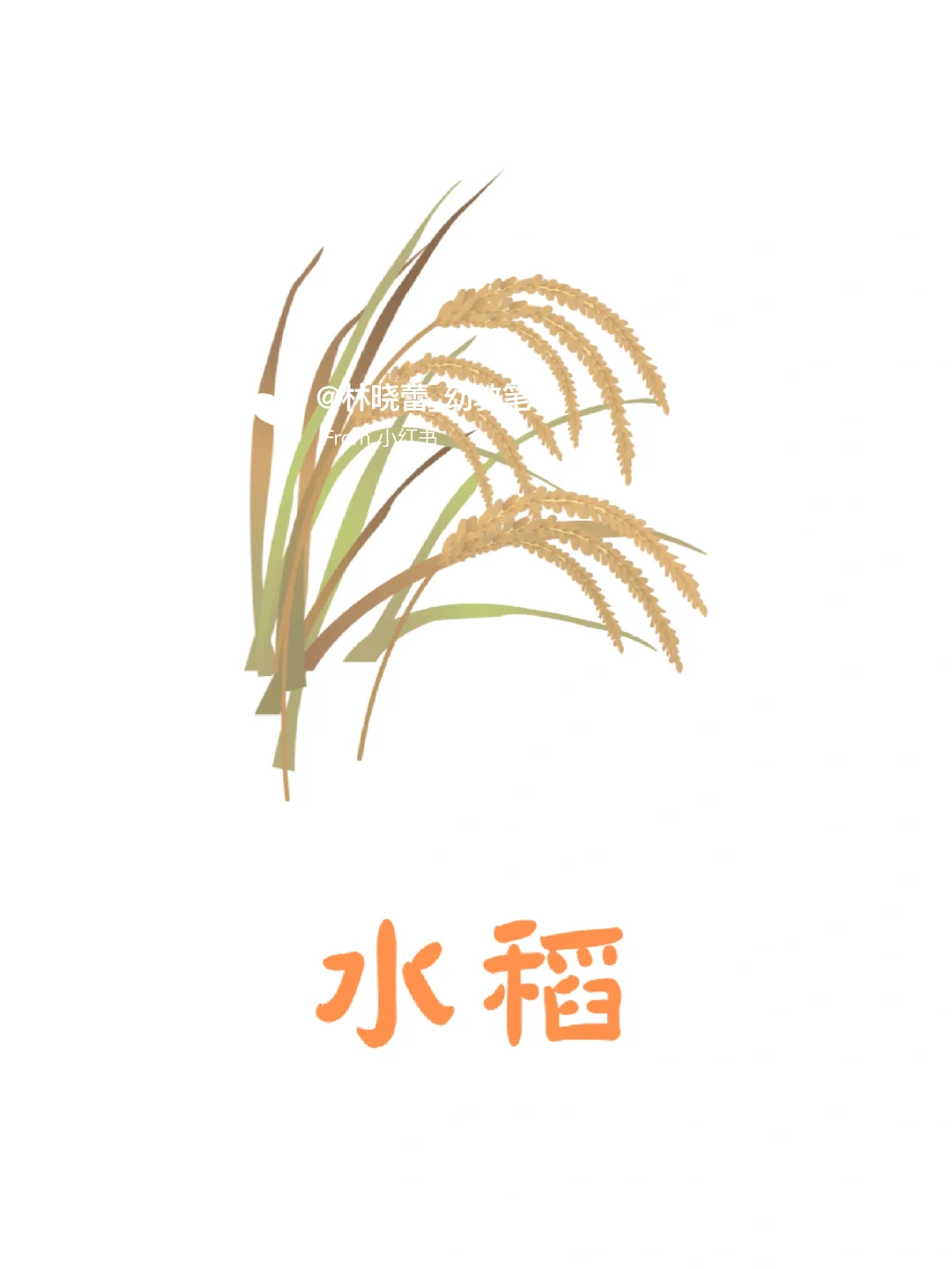 秋天农作物环创素材?打印