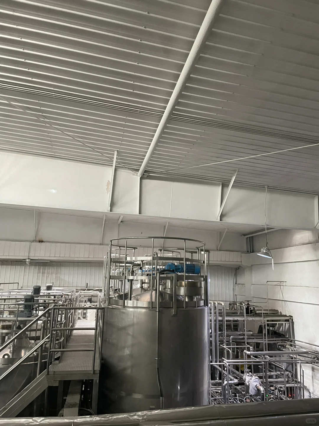 参观新希望牛奶厂