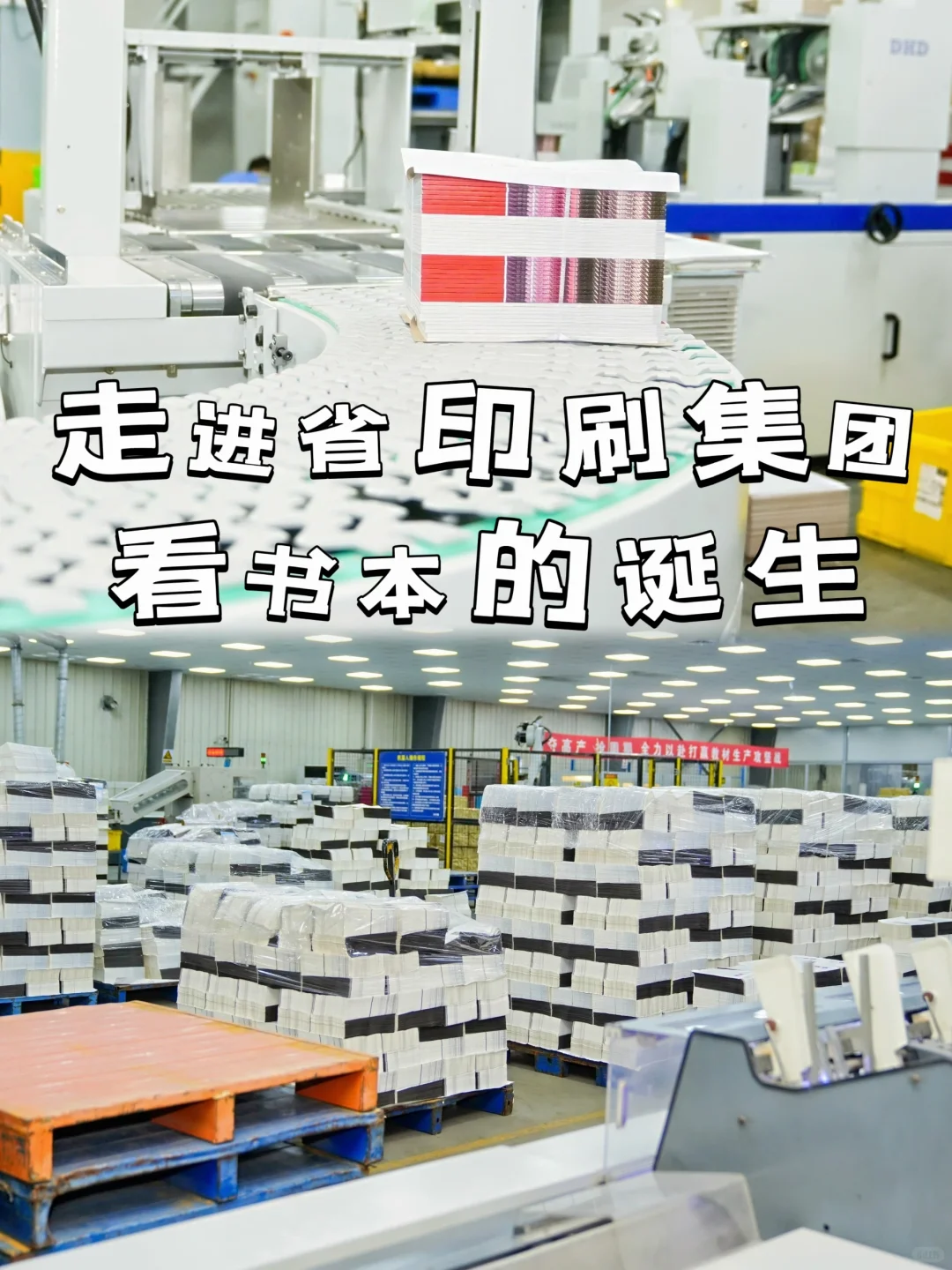 杭州遛娃【秋假】一定要带娃去参观的工厂