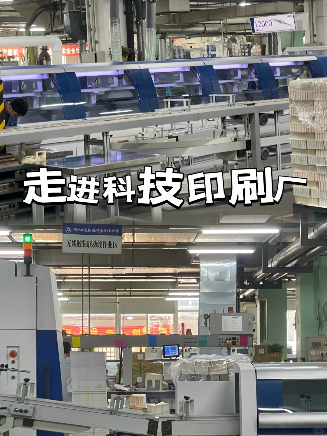 11月12日杭州遛娃?省印刷科技工厂看造书