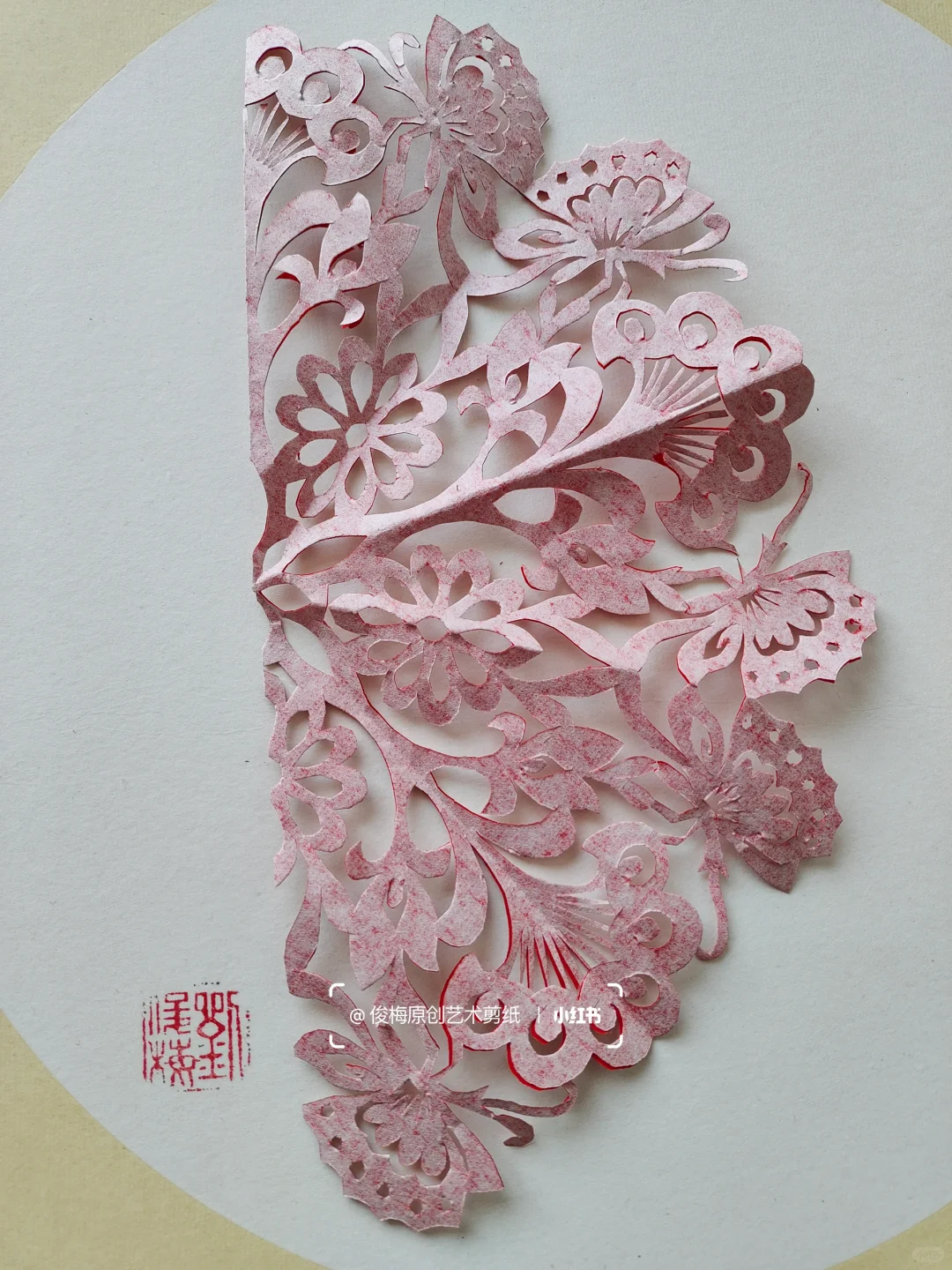 每日一剪｜蝶恋花