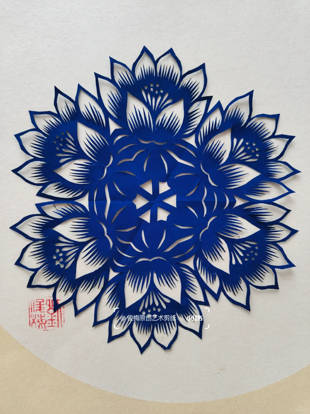 每日一剪｜夏之荷