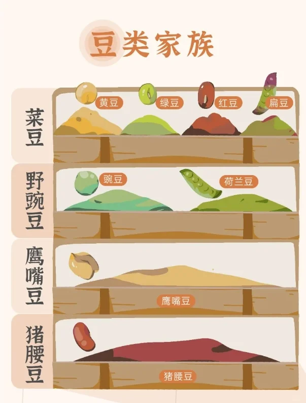 “五谷丰登”究竟指的是哪五种？