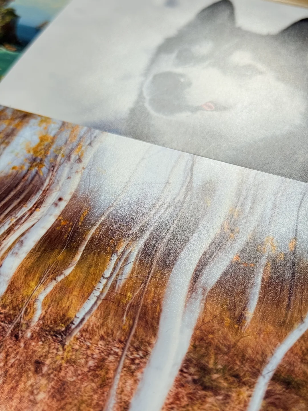 洗照片三种冲印方式对比