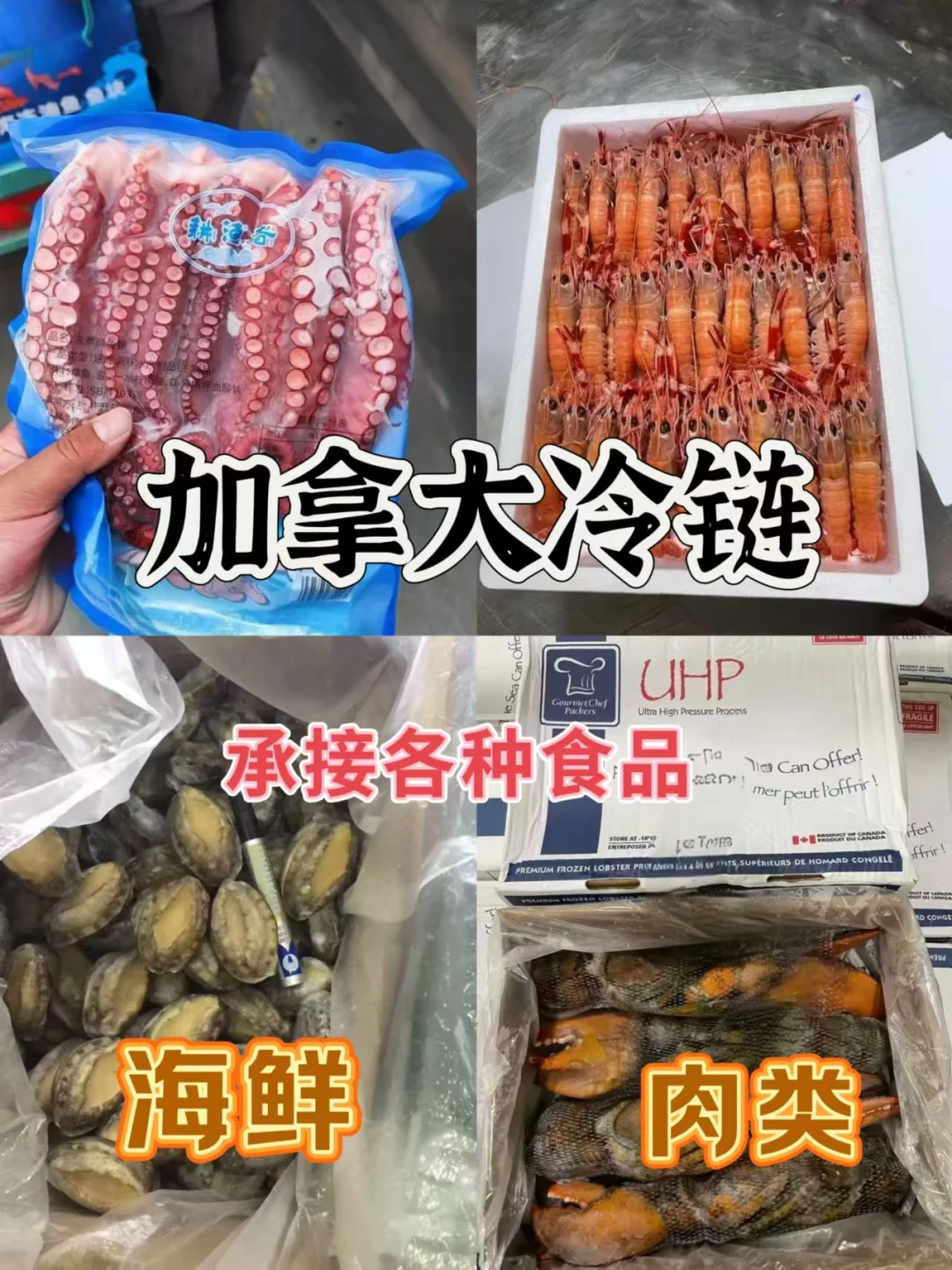 ?中国到加拿大冷链运输他来了