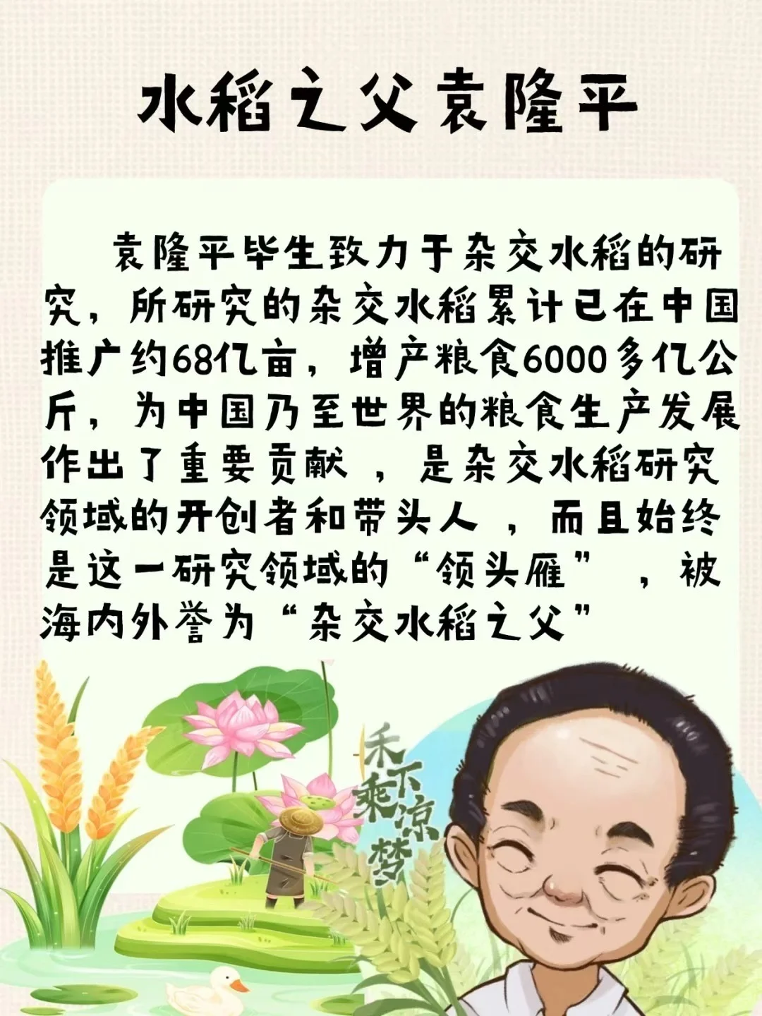 水稻的知识汇总，快来看