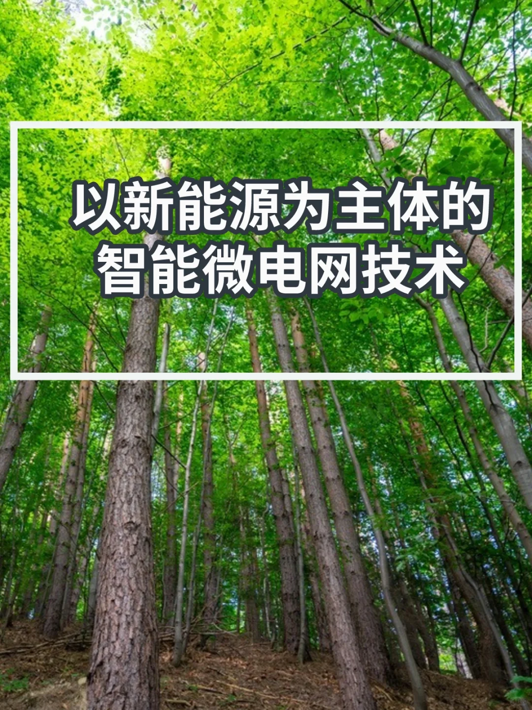 以新能源为主的智能微电网解读