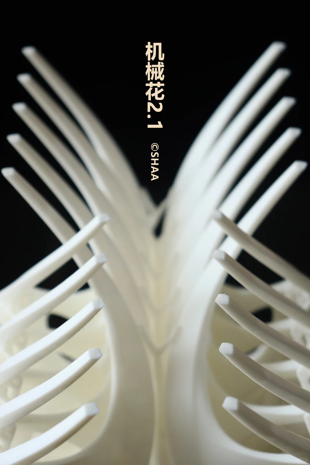 这打印出来简直就是艺术品