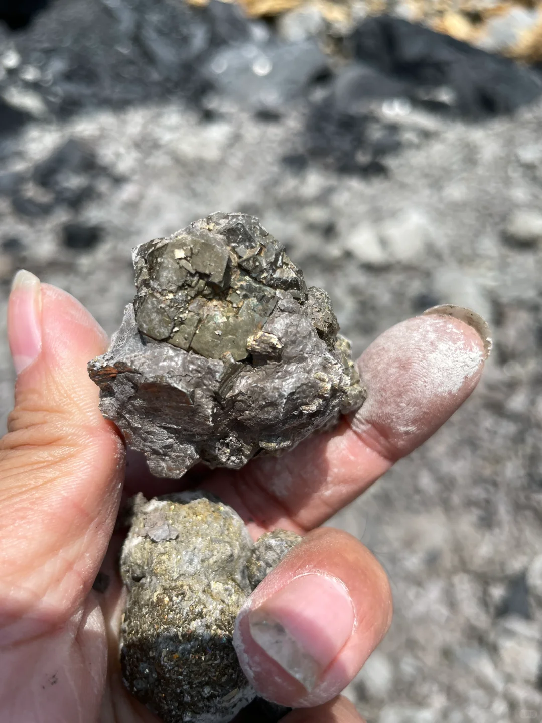 黄金矿工，采集自江苏句容灰岩里的“金疙瘩”