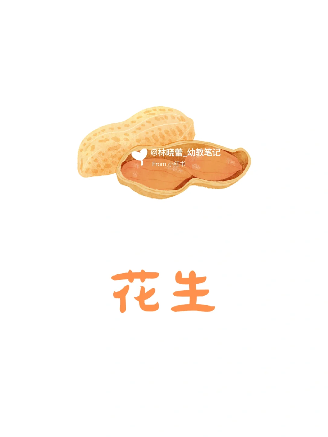 秋天农作物环创素材?打印