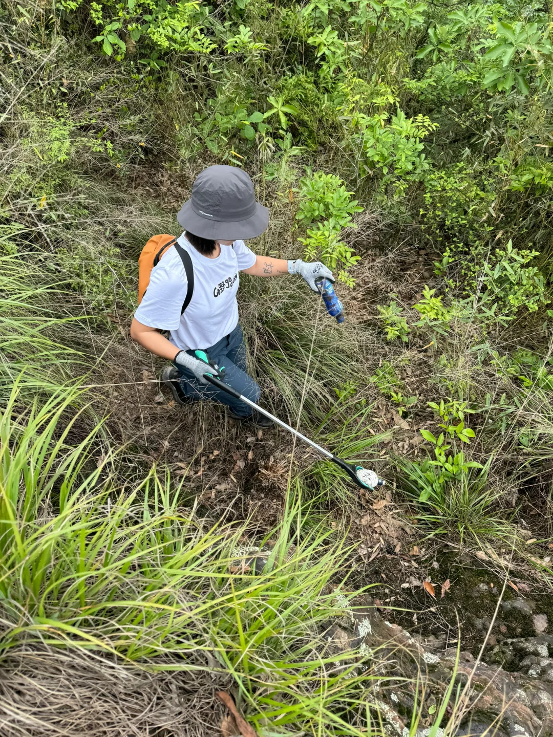 如果这个周末 你也进山