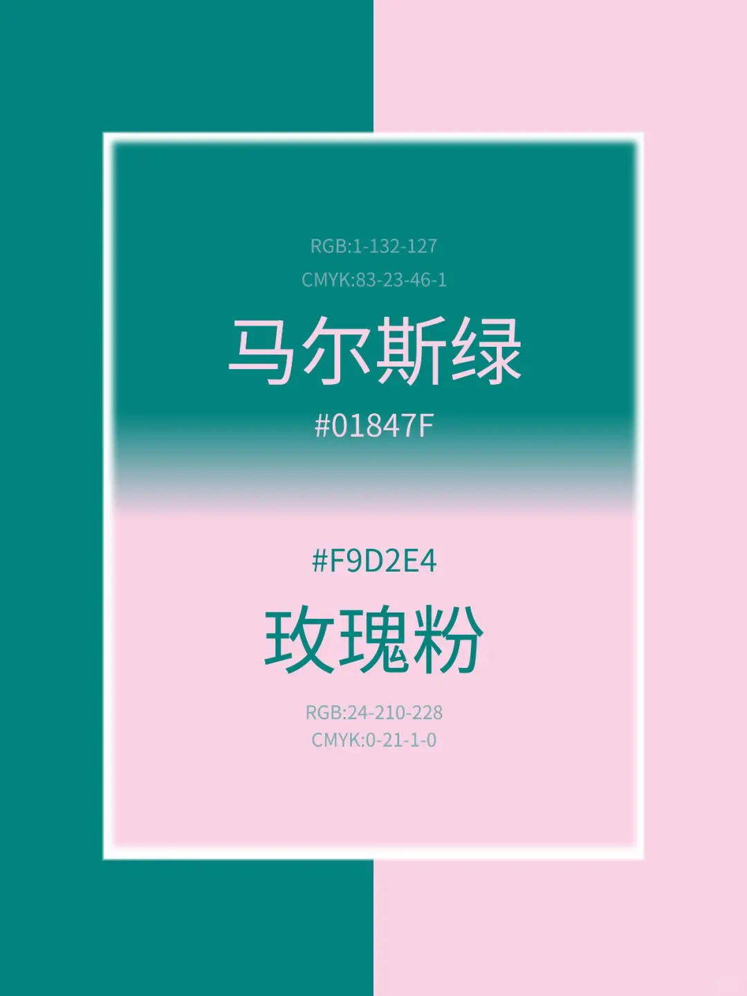 挑战你不敢碰的撞色