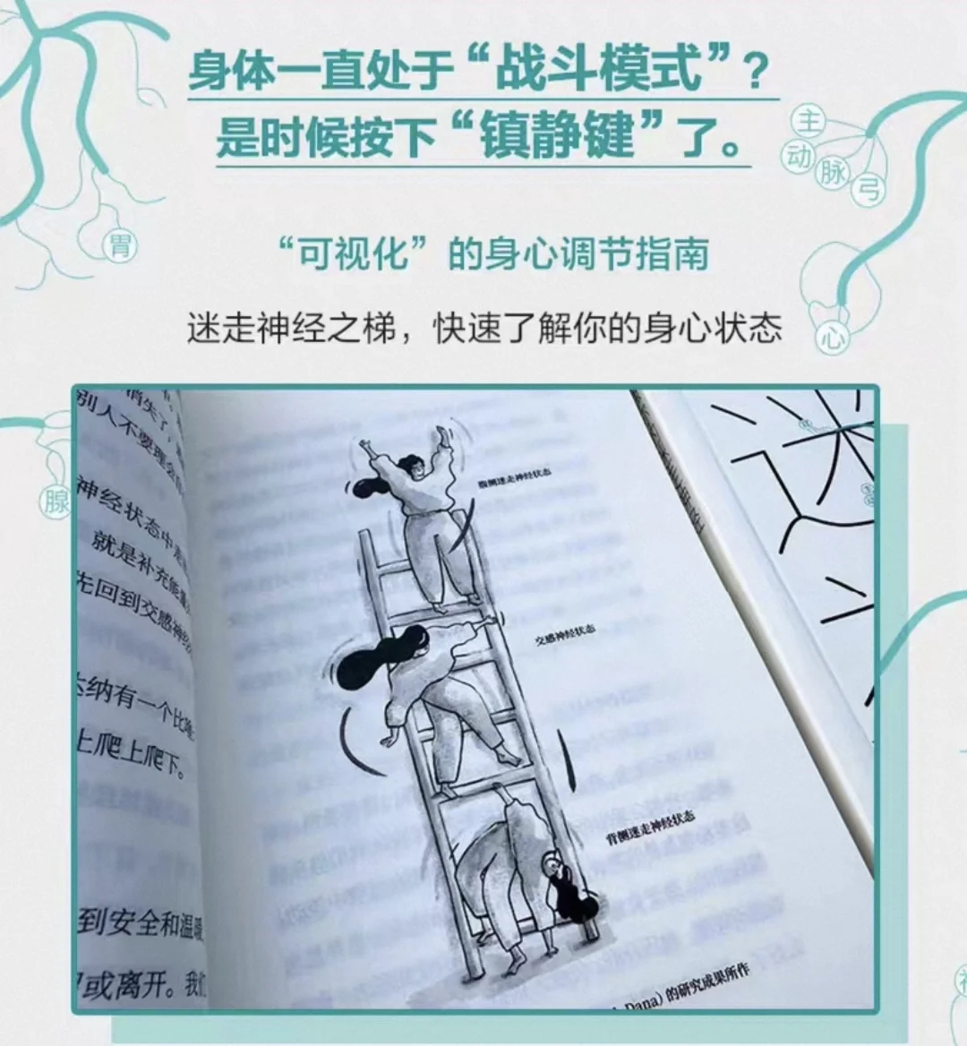 原来这么简单,对抗蕉绿的开关藏在身体里