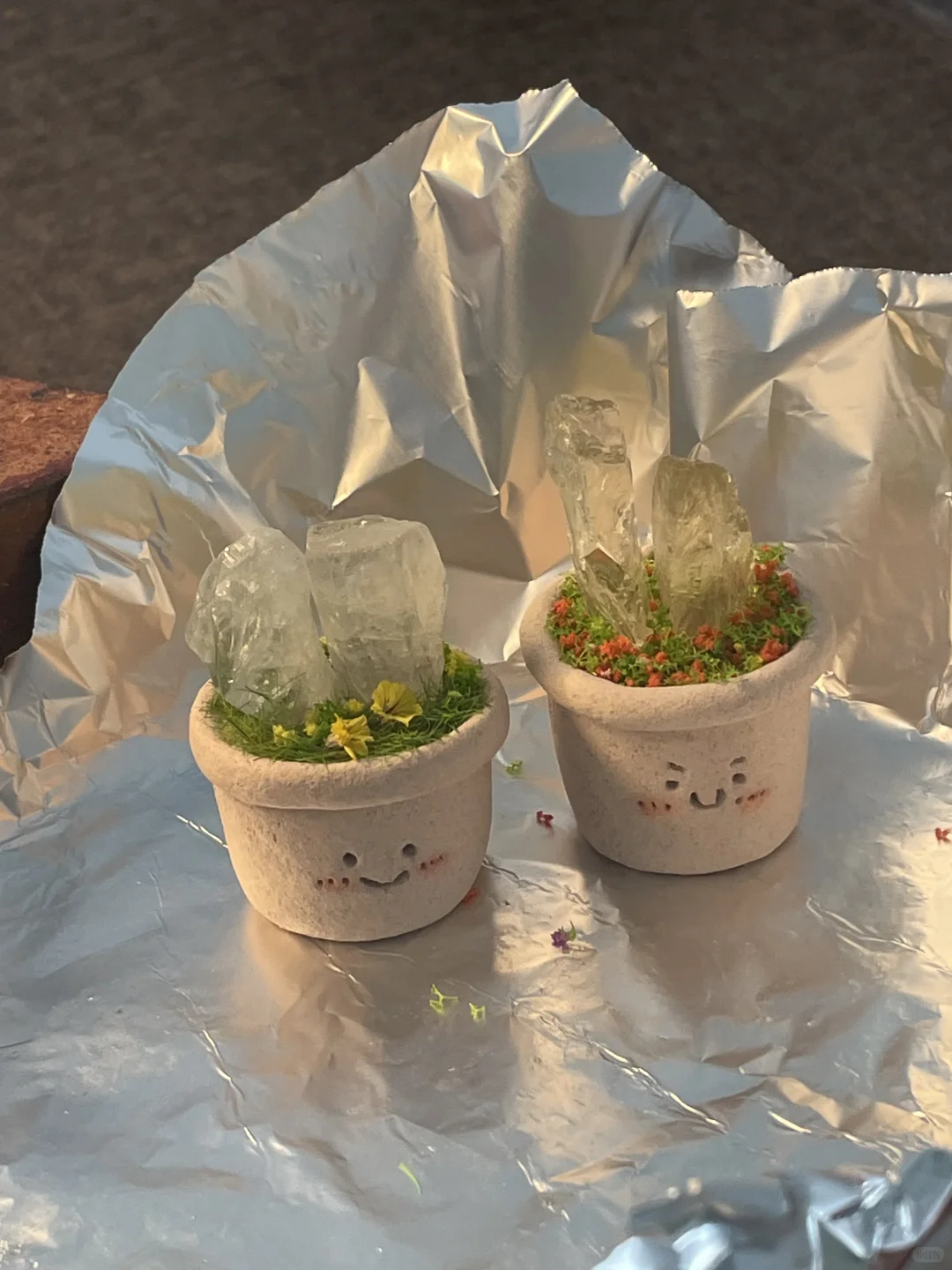 水晶小豆丁待领养～