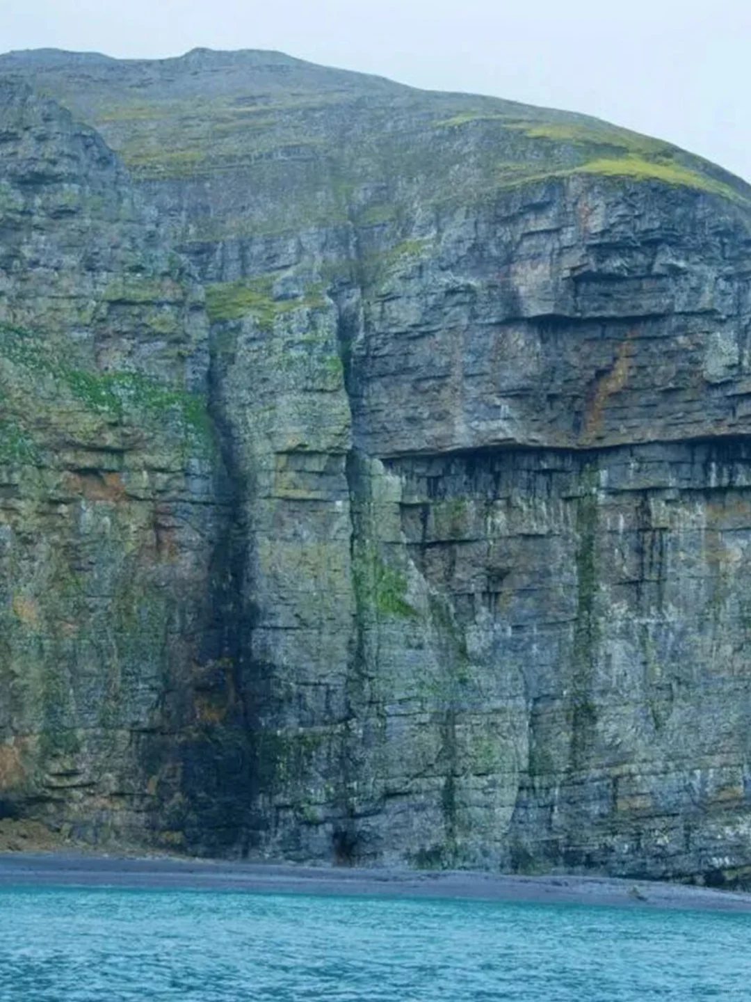 熊岛:名不副实的北极“熊”地