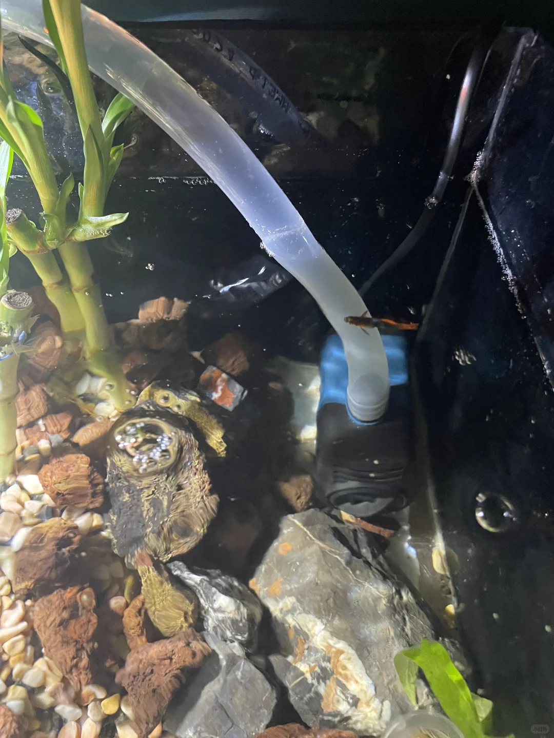 鱼缸静音抽水泵