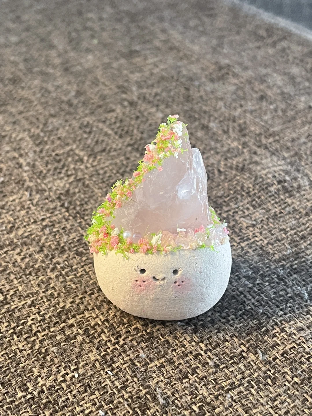 水晶小豆丁待领养～