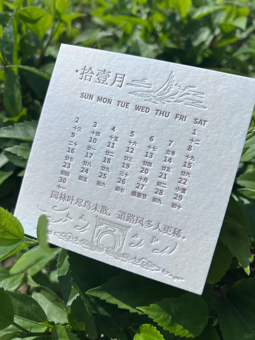 450克意大利WILD棉纸凸版卡片印刷压印凹凸