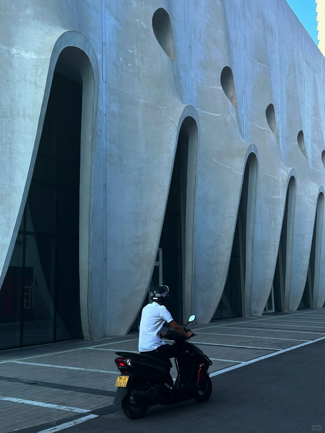 时光不语自清浅·岁月无言亦安然