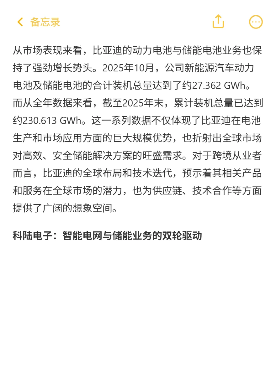 中国储能2025：净利暴涨2836%！海