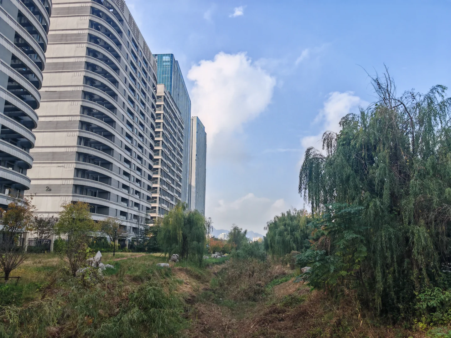 立冬啦，随手一拍